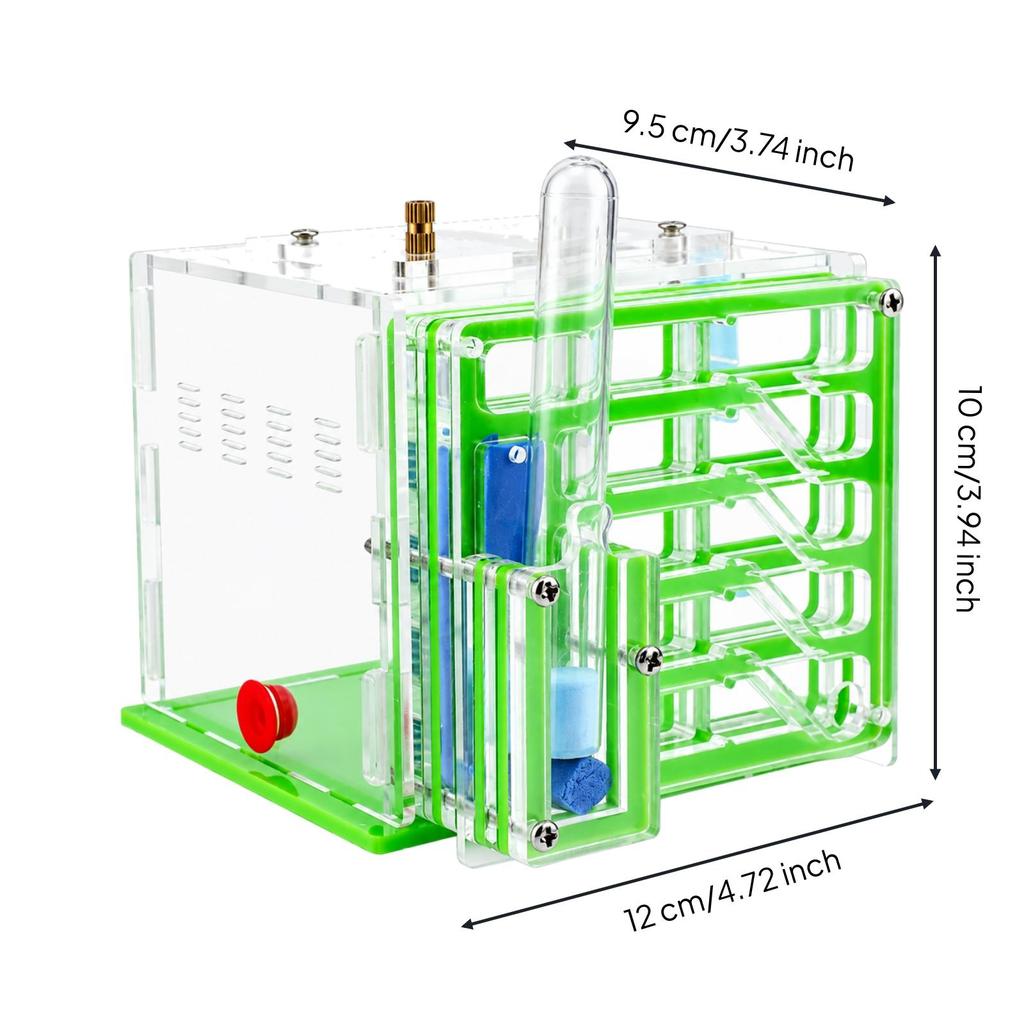 Underground Crawler House Clear Acrylic Habitat Transparent Formicarium for Educational