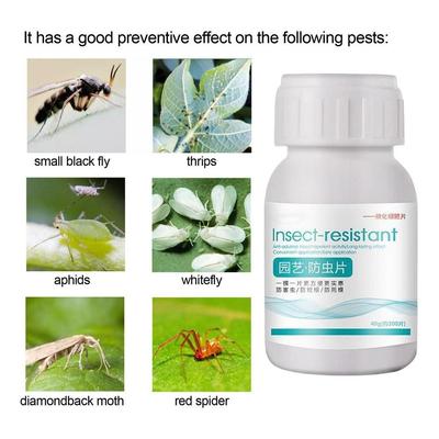 Speed Up Boron Fertilizer Growing Agent Insect Repellent Fertilizer Universal Succulent