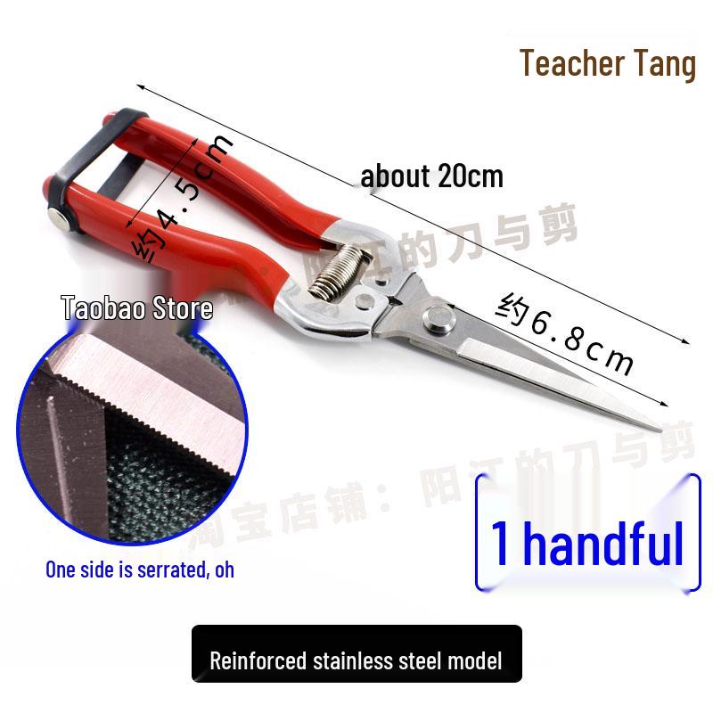 High Carbon Manganese Steel Pruning Shears - Durable, Sharp, Straight Head for Fruit, Branch, Flower Trimming, and Sheet Metal Cutting.