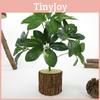 Wall Artificial Plant Decoration For Interior Design Props Photography