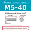 304 Stainless Steel Pressure Plate Cylindrical Head Rivet Screw (FHS-M2 M2.5 M3 M4 M5 M6 M8 M10)