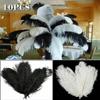 Sizes DIY Natural Accessories Colorful Party Home Decor Plumas Ostrich Feathers Clothing Decoration