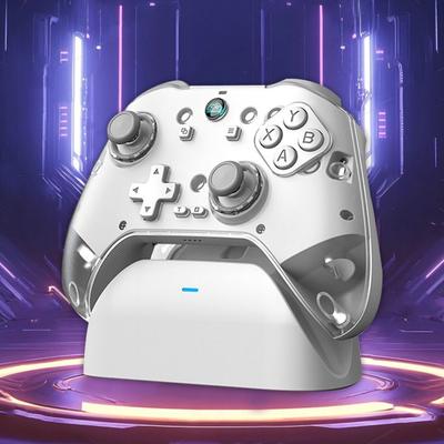 Nintendo – Otros accesorios