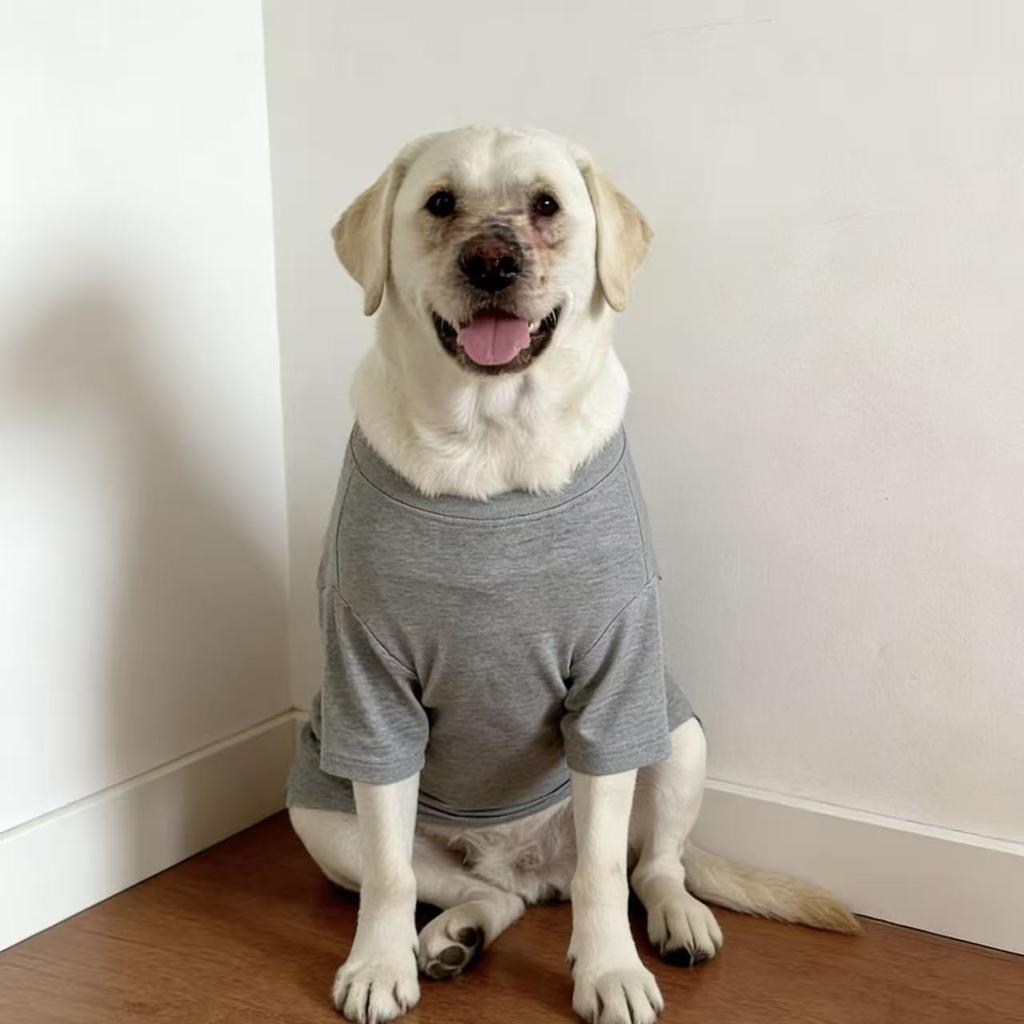 Frühling Sommer Einfarbige Hundekleidung für große Hunde, Dünne Anti-Haarausfall Haustierkleidung für Labrador Golden Retriever Border Collie