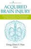 The Acquired Brain Injury : Clinical Essentials for Neurotrauma and Rehabilitation Professionals Book