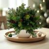 10PCS Artificial Pine Branches with Red Berry Pine Cones Artificial Pine Needles Branches Greenery Stems Fake Greenery Floral Arrangements