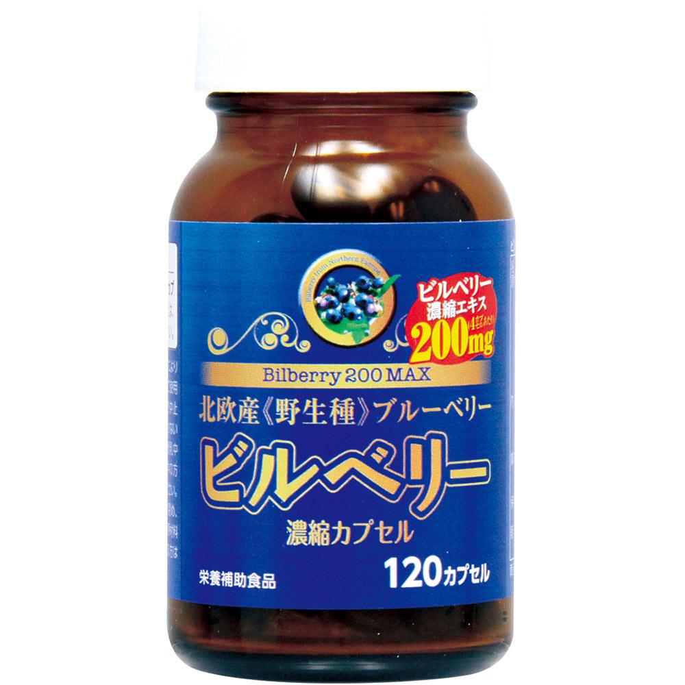 Wellness Life Sciences Bilberry 200 MAX 120 Capsules Blueberry Eye Strain Blueberry