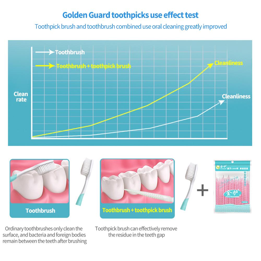 100 pièces Fil dentaire double tête Cure-dents interdentaires Bâtonnets pour les dents Nettoyage des dents Soin bucco-dentaire Brosse interdentaire