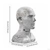Realistic Mannequin Head With Ear Holes Hairpiece Holder Versatile Hat Display Stand for