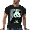 Eating Panda Tshirt T Shirt Custom Print Unisex T Shirt Cotton Unisex T Shirts Graphic Tshirt