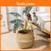 Style Artificial Alocasia Odora Leaf Plant With Handcrafted Basket For Home Decor