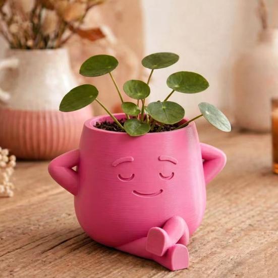 Smiling Face Planter 3D Plant Pot Printed Cute Decorative