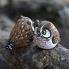 Vintage Handmade Miniature Wooden Owl Sculpture Statue Figurines Animal Desk Ornament for Home Decoration Gift Decorative Wood
