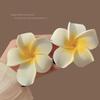 Frangipani Hair Clip Set*6 - Mixed Sizes