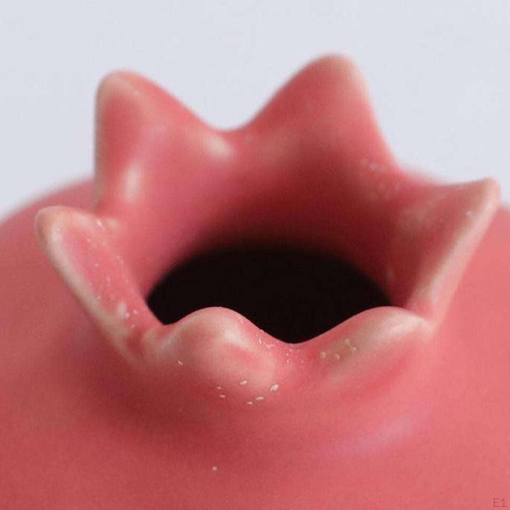 Art Ceramic Pomegranate Vase Tissue