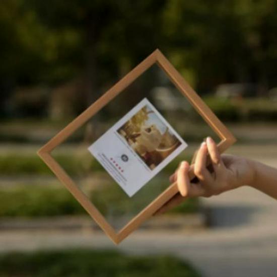 A4 3D Creative Photo Frame: No-Punch, Double-Sided Glass Plant Specimen Display (6-Inch/7-Inch)
