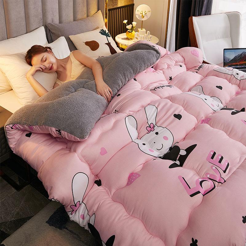 Winter 5Kg Lamb Velvet Quilt Dormitory Single Double Home Hotel Quilt Core 1.5M Thickened 1.8M Luxury Comforter Super Warm Quilt