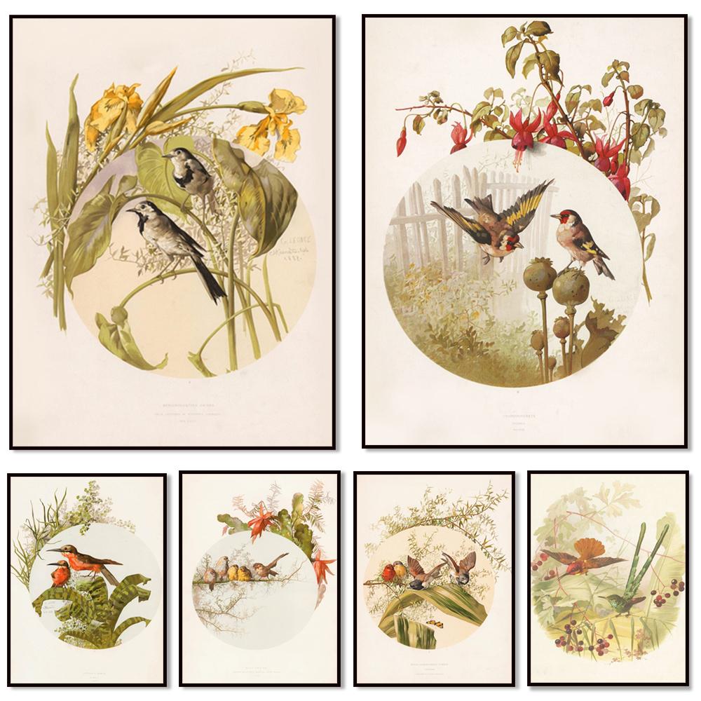Garden birds poster, goldfinch bird, beaked warbler bird and hyacinth flower, four bengal birds, audubon bird print decoration,