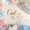 Removable PVC Wall Sticker: Gender Reveal Party Decoration