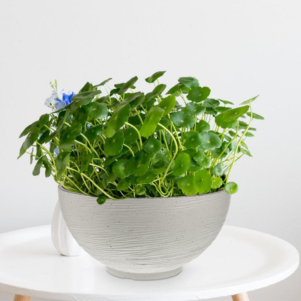 Housoutil Vintage Succulents Planter Ceramics Water Lily Bowl Hydroponic Planter Pot Round Succulent Nursery Pot Flowerpot Decoration (Beige) Office