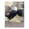 Homehalo Cat Hugging Pillow, Soft Memory Foam Cushion, Cover Washable, Sleeping Pillow, Soothing Hugging Pillow, Cute, Comfortable Hugging Pillow,