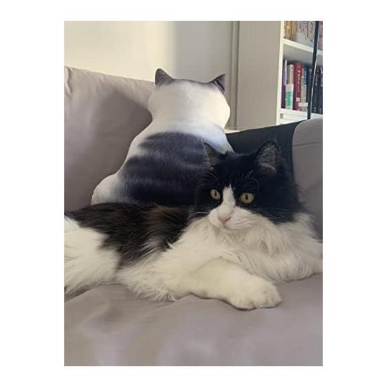 Homehalo Cat Hugging Pillow, Soft Memory Foam Cushion, Cover Washable, Sleeping Pillow, Soothing Hugging Pillow, Cute, Comfortable Hugging Pillow,