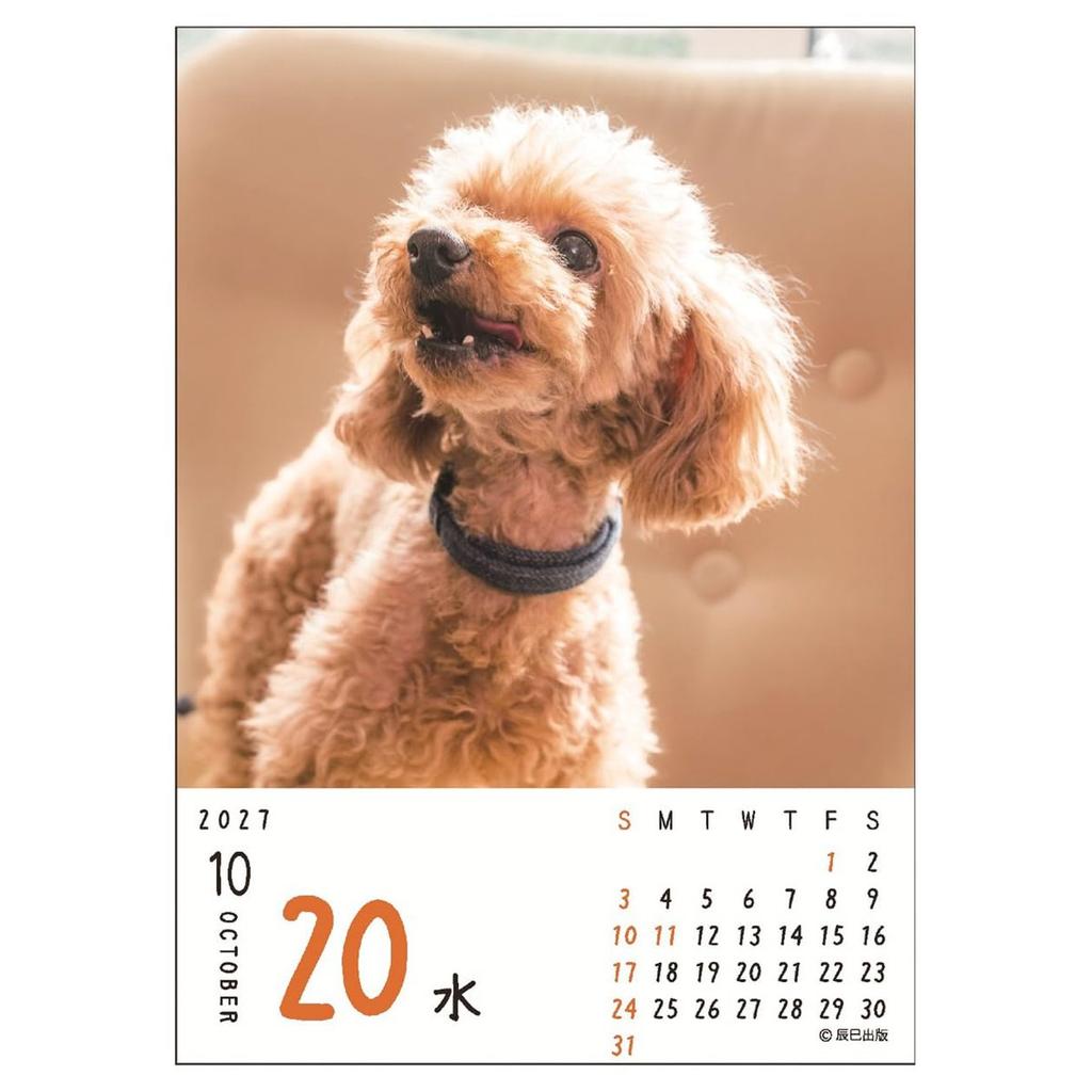 Art Print Japan 2027 Daily Desk Calendar Dog Theme 'Wan-mekuri' Cute Dogs Page-A-Day Tabletop Calendar Paper Steel Spiral Binding
