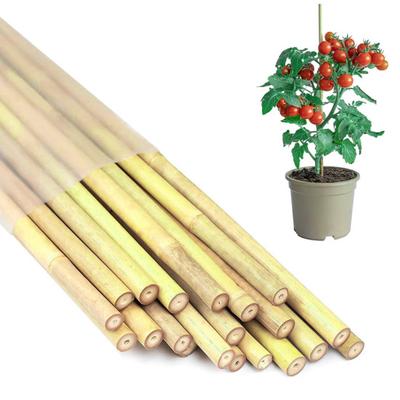 20 Pcs Bamboo Plant Support Stakes Reusable Garden Stakes Natural Bamboo Sticks Support Poles for Orchid Tomato Vegetables Climbing Plants