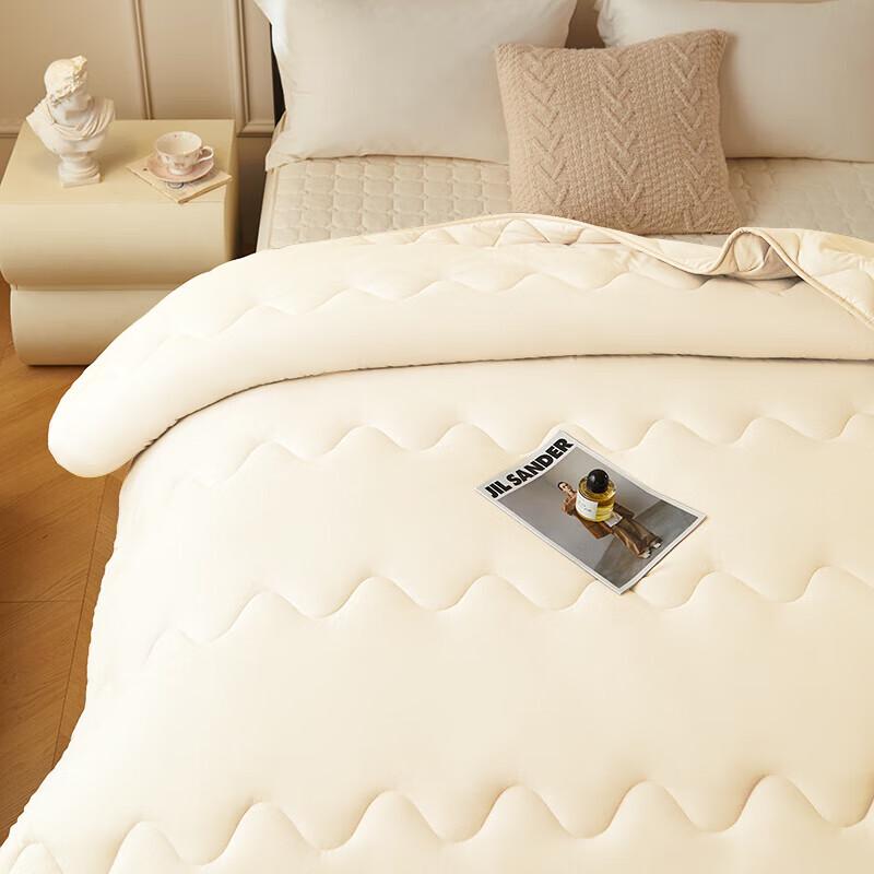 Royal Bedding Super Soft Washable Fiber Quilt