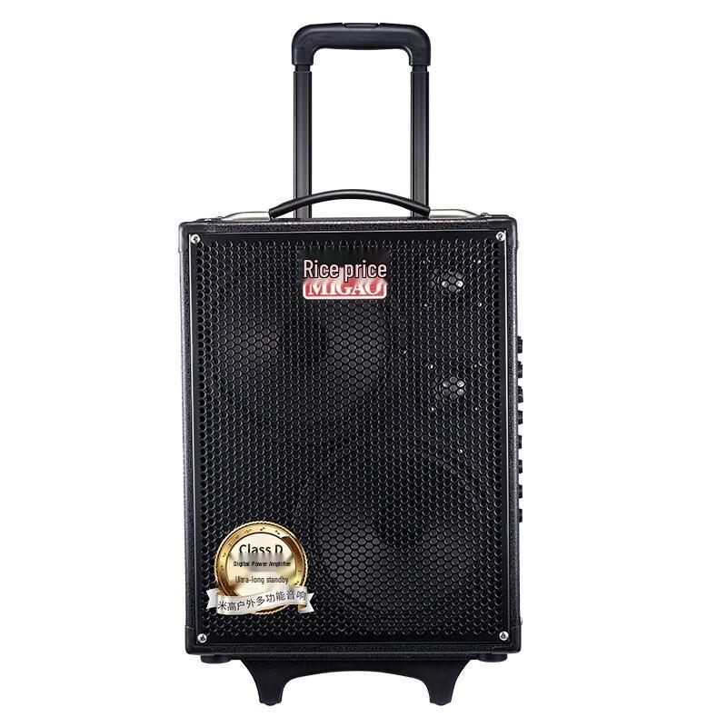 Migeer MG883A-LI Outdoor Portable PA Speaker for Guitar & Vocals