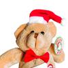 Merry Christmas Soft Santa Hat Teddy Bear