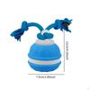 Cat Dog Interactive Toy Ball with Rope Bite Resistant Chewing for Indoor Outdoor Travel Lawn