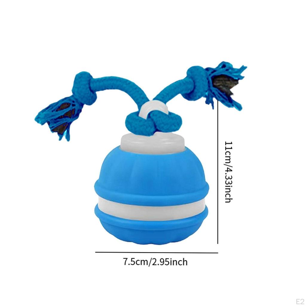 Cat Dog Interactive Toy Ball with Rope Bite Resistant Chewing for Indoor Outdoor Travel Lawn