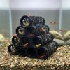 Hollow Out Fish Shrimp Hideout Shelter 3D Printed Betta Hideaway House  Fish Tank Ornaments