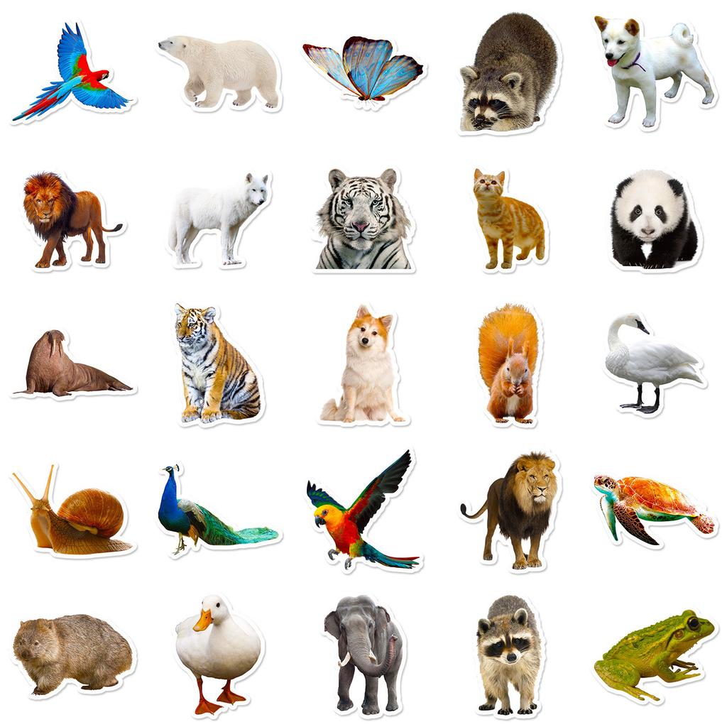 50 Animal Cartoon Luggage Stickers Waterproof Graffiti Stickers Scooter Computer Tablet Cartoon Decorative Stickers