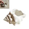 Small Earring Holder for Vanity 3D Printed Conch Shell Storage Dish, Seashell Trinket Tray Jewelry Durable Office Keys, Ocean Style Home Decor