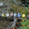 6Pcs/Lot Adorable Resin Miniatures - Create A Charming Fairy Garden with These Lovely Bird Figurines Home Decoration Accessories