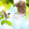 Bird Cage Feeder Cup Bowls Automatic Parrot Seed Feeders Hanging Food Dispenser Transparent Container For Canary Small Cockatiel