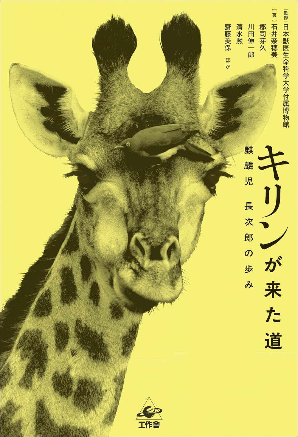 The Path the Giraffe Took—The Journey of the Prodigy, Chojiro