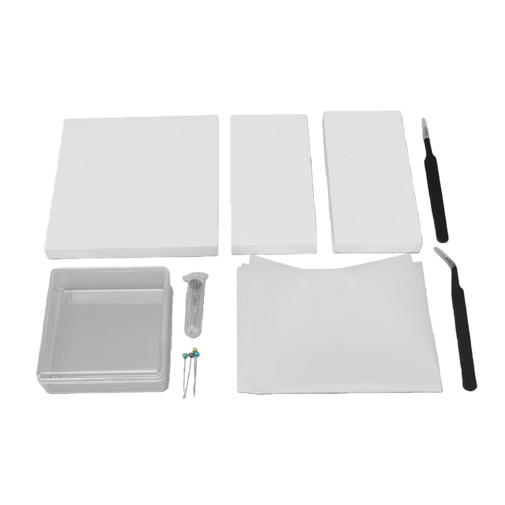 Kit de Herramientas para Espécimen Kit Completo de Herramientas para Hacer Espécimen Suministros para Colección de Entomología con Tablero de Alfileres de Espuma Transparente