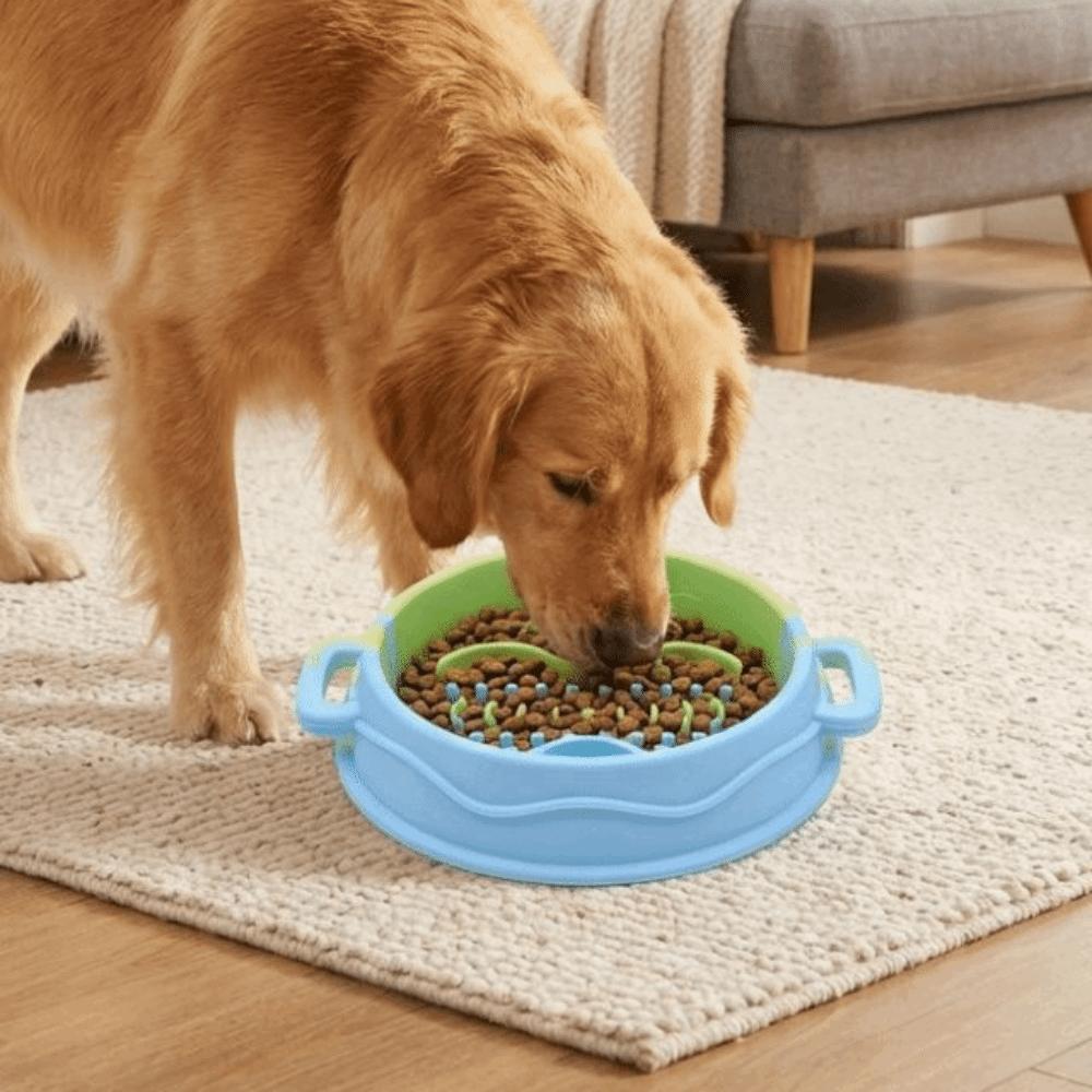 Silicone Dog Slow Feeder Bowl Non-Slip Dog Treat Bowl Colorful Pet Food Dish  Pet Enrichment