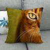 Fashionable cats and cute pet animals Digital printing short plush pillow covers for car sofa office cushion cover home goods