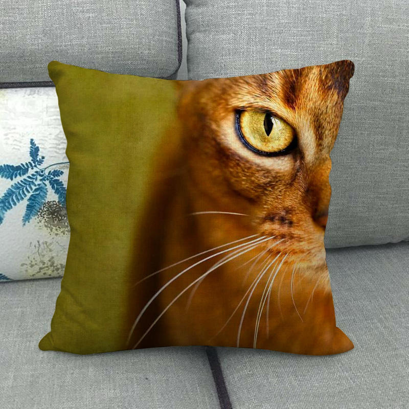 Fashionable cats and cute pet animals Digital printing short plush pillow covers for car sofa office cushion cover home goods