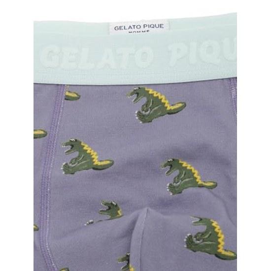 Gelato Pique HOMME Sleeping Dinosaur Pattern Underwear Box PMCP262923 Mens
