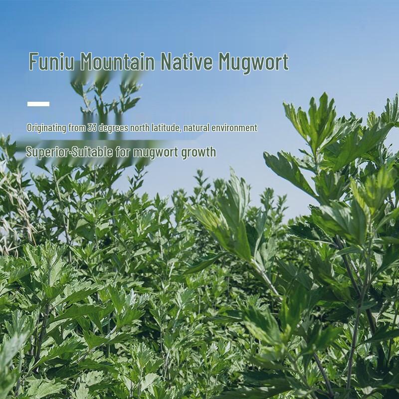 Herbal Ginger & Mugwort Foot Soak Pack