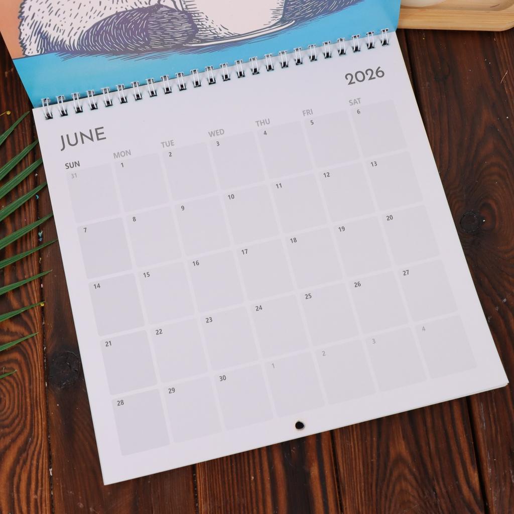 Monthly Wall Calendar Cute Cat Design Hangable 2026 Calendar Wall Calendar for Living Room Bedroom Home Wall Decor for Cat Lover