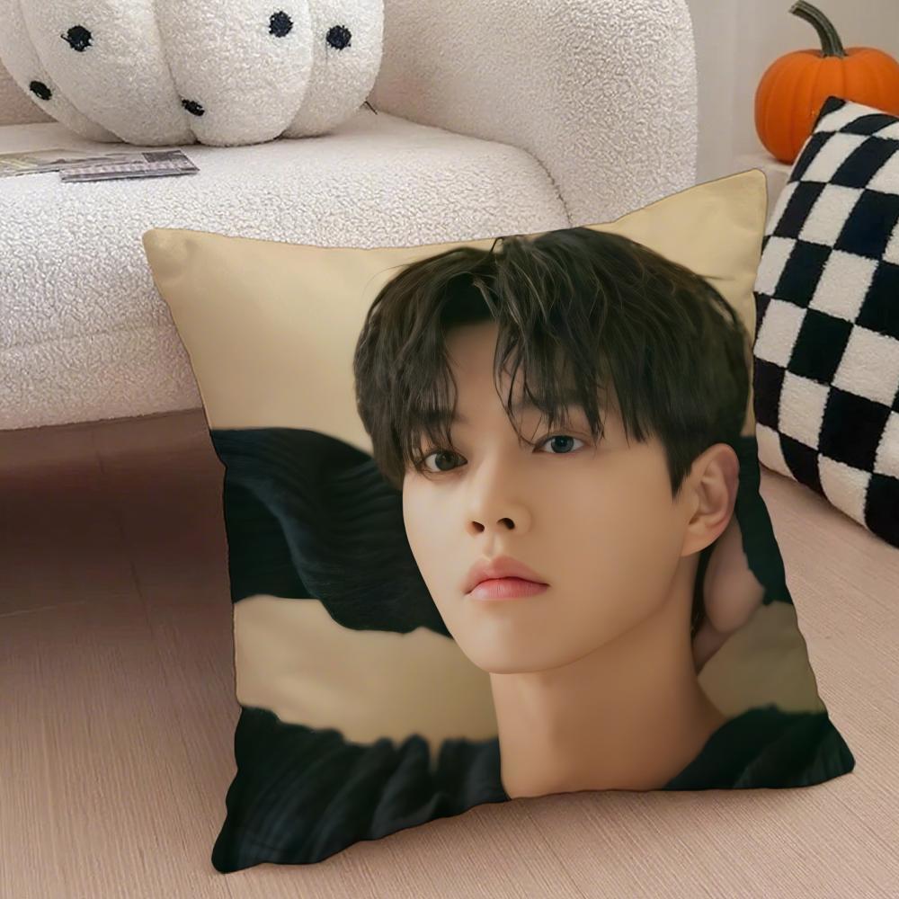 Handsome Charming Korean Actor SSong Kang Cushion Cover Throw Pillow Cover Hidden Button Durable Polyester Chair Cushion