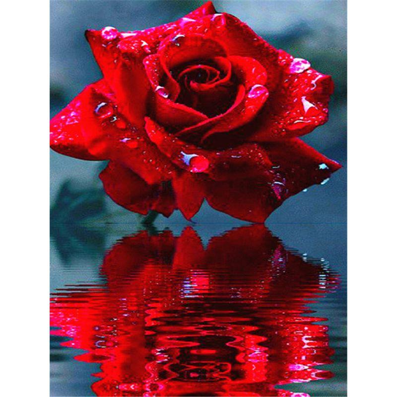 

5D DIY Алмазная картина Животные Вышивка крестом Ремесло Полная круглая дрель Мозаика Алмазная вышивка Домашний декор Подарок Full Round 20x25CM