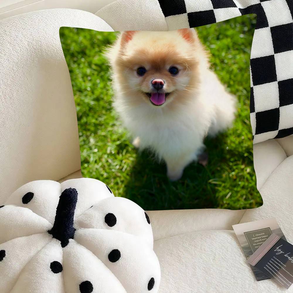 Poszewka na poduszkę dla psa rasy szpic miniaturowy Modna kwadratowa poszewka na poduszkę Sypialnia Sofa Pokój Dekoracja Ins Wypoczynek
