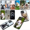 Phone Cover Pet Lovely France Bulldog Dog Casing for Xiaomi Redmi Note 15 11 9 10 Pro Plus A5 9A 9T 10A 10C 9C NFC 15C 8T Case